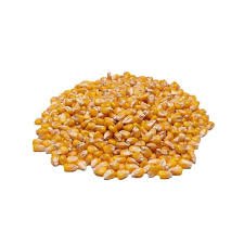 Milho em Grão 1kg